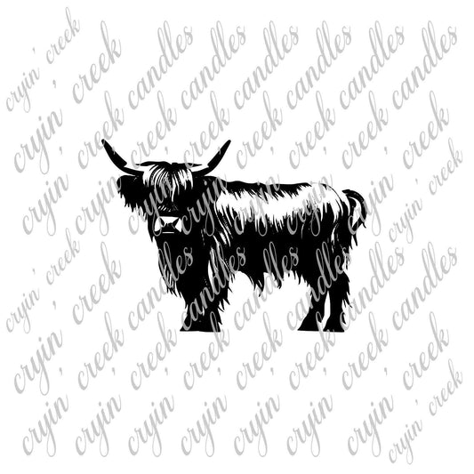 highland steer download png - 0