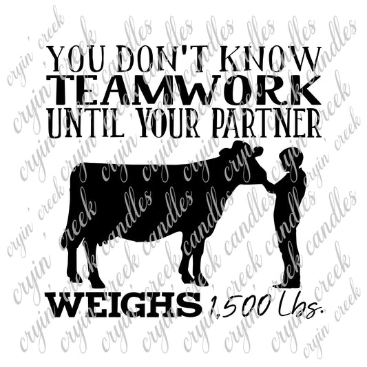 You (Male) Don't Know Teamwork Until Your (Dairy) Partner Weighs 1,500 Lbs Download - 0