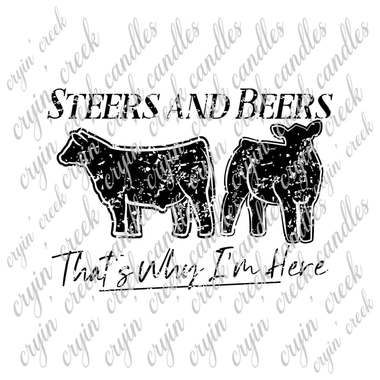 Steers and Beers That's Why I'm Here Digital Download