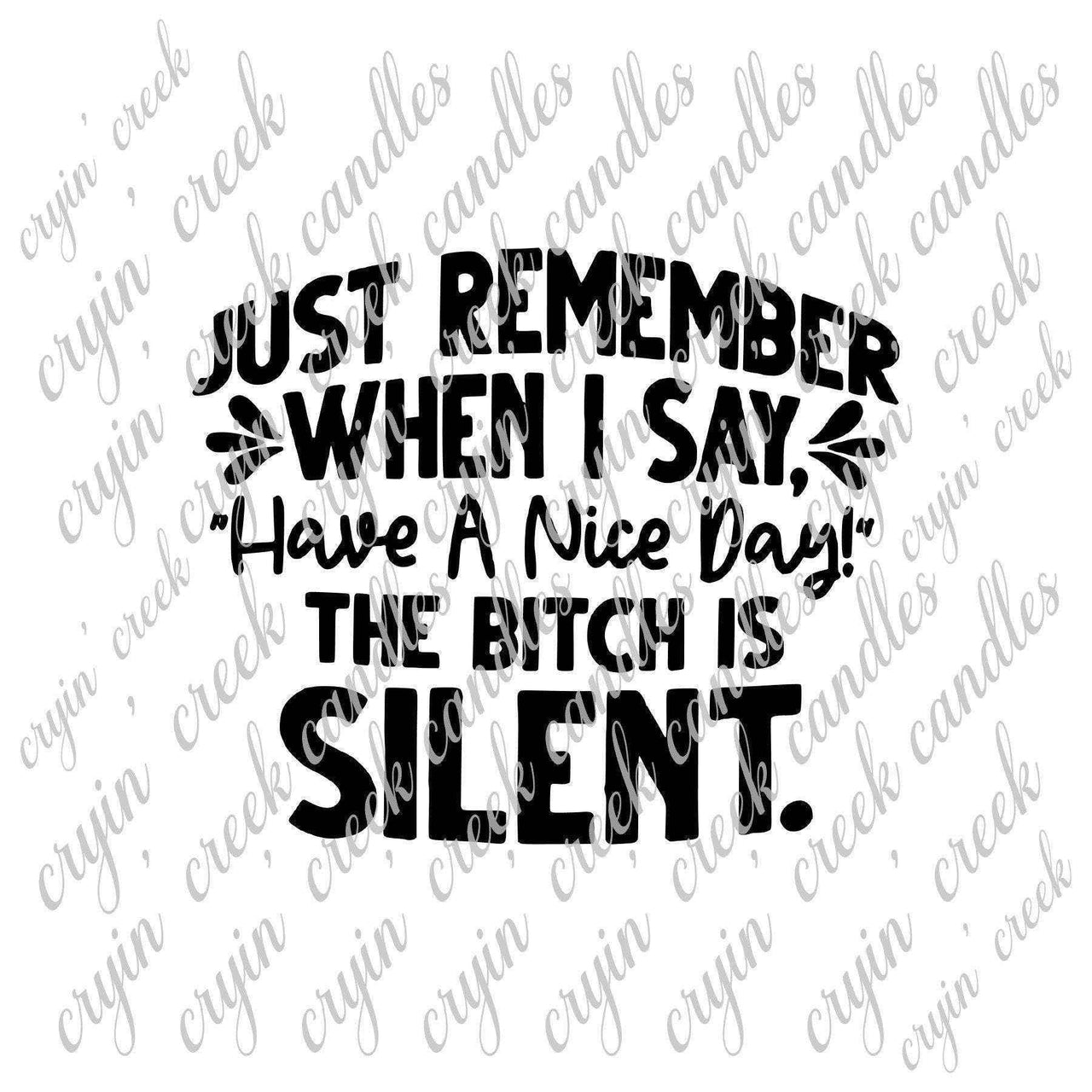 When I Say Have a Nice Day the B**** is Silent Digital Download